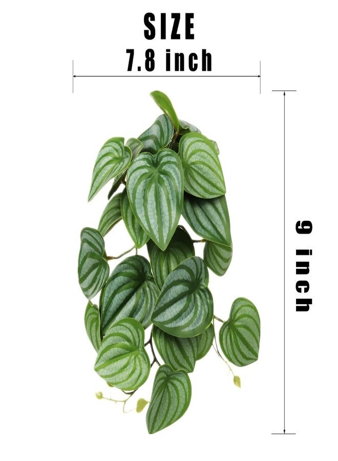 WOLEDOE 2Pack Reptile Fake Plants for Terrarium, Snake Tank Accessories, Habitat Decor Artificial Hanging Plants with Suction Cup - Fake Calathea Orbifolia - Image 2